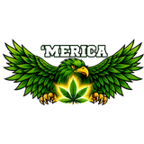 'MERICA